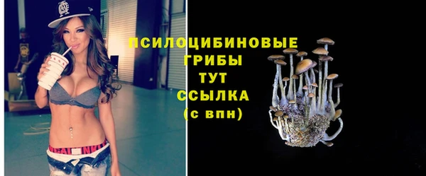 2c-b Заволжье