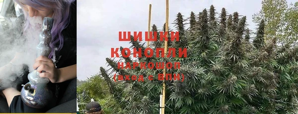 ГАЛЛЮЦИНОГЕННЫЕ ГРИБЫ Яровое