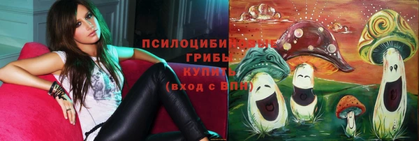 2c-b Заволжье