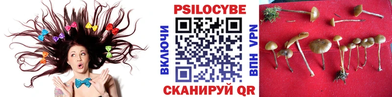 Галлюциногенные грибы прущие грибы  MEGA   Трёхгорный  хочу наркоту 